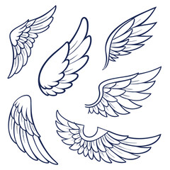Collection of Six Detailed Line Art Wings Designs