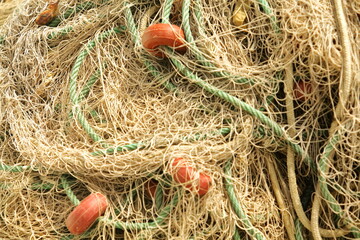 Tangled Craft – The Heart of the Coast