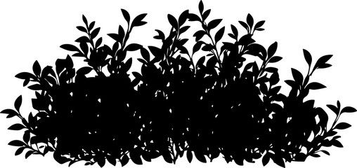 Silhouette of Dense Bush with Leaves