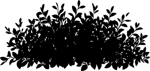 Silhouette of Dense Bush with Leaves