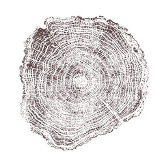 Vector illustration of detailed tree cross section with visible annual growth rings, natural wood texture, rustic style, organic pattern for eco design and educational purposes © Alona