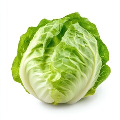 Close up shot of a fresh green romaine lettuce head on a white surface