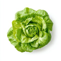 A single head of butter lettuce isolated on a plain white background top