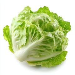 Close up of a head of romaine lettuce with green leaves on white background