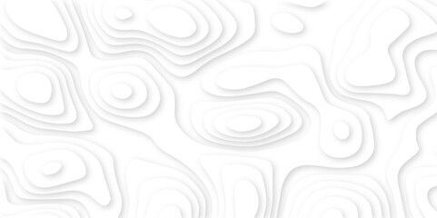 Abstract liquid wave background. White paper cut wavy layers pattern design. Geometric map relief texture with curved layers and shadow effect. White line drawing geometric paper art design. 