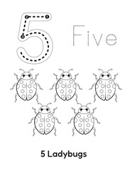 handwriting book for ages 6-8