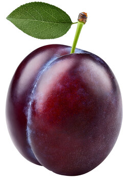 plum