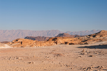 A desert landscape with mountains in the background