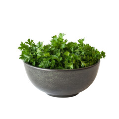 Fototapeta premium Freshly chopped parsley in a grey bowl on a clean transparent background for culinary use and presentation, parsley iin the bowl on transparent background