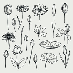 Lotus line art illustration. Set outline water lily sketch, doodle floral stems. Hand drawn Botanical drawing. Simple Stylized flowers. Black and White blooming