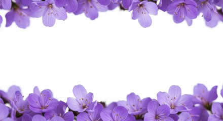 Floral frame with delicate purple flowers on a clean white background