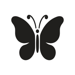 butterfly vector illustration