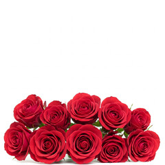 Obraz premium red roses background, hd,