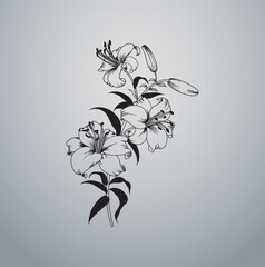 abstract Hibiscus Flower  floral background