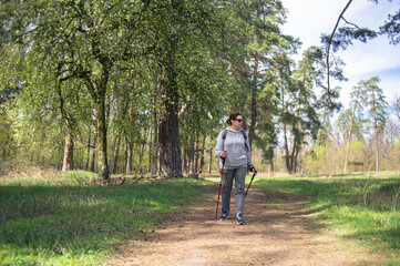 Obraz premium A pensioner woman practicing Nordic walking in the forest