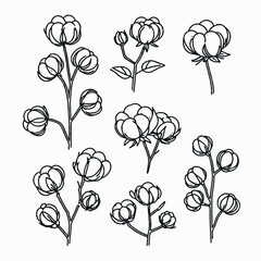 line art cloud-like softness illustration. Set outline fluffy cotton bolls sketch, doodle floral stems. Hand drawn Botanical drawing. Simple Stylized flowers. Black and White blooming