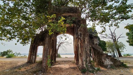 Naklejka premium old bridge in the forest