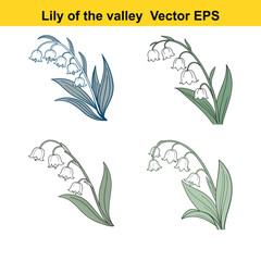  lily of the valley drawing, lily of the valley watercolor 