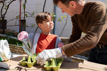 Eco gardening with child: planting seeds in egg cartons outdoors