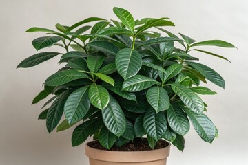 Lush Potted Plant With Vibrant Green Leaves Indoors Generative AI