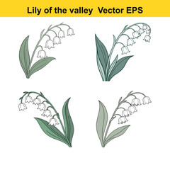  lily of the valley drawing, lily of the valley watercolor 
