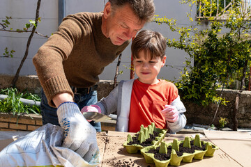 Joint gardening: an adult and a child are filling egg cartons with soil for planting seeds.