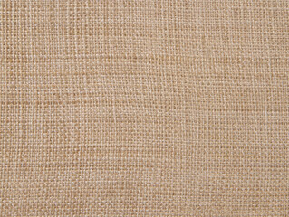 Neutral Tan Fabric Surface with Subtle Woven Pattern Detail