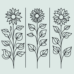 line art sunflowers illustration. Set outline aster sketch, doodle floral stems. Hand drawn Botanical drawing. Simple Stylized flowers. Black and White blooming chamomile