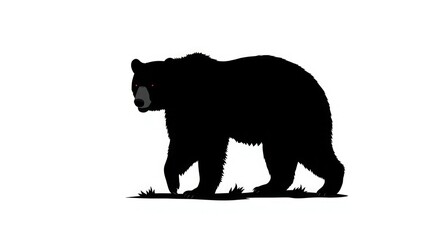 silhouette of a bear