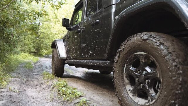 Pickup SUV driving off-road in the forest.