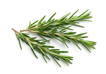Fototapeta premium Fresh green rosemary sprigs placed on a white background. Aromatic culinary herb commonly used in cooking, food styling, and natural remedies, captured in clean, minimal studio lighting
