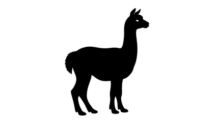 Silhouette of a llama standing in profile  