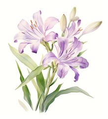Naklejka premium Purple Lilies Botanical Illustration – Elegant Floral Art 