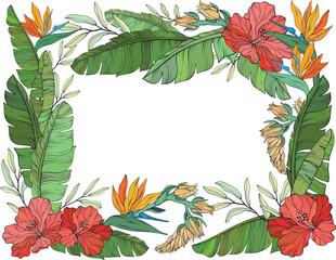A vector illustration of a tropical floral frame featuring hibiscus flowers, bird of paradise blossoms, and lush green banana leaves on a white background