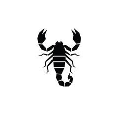 silhouette of a spider