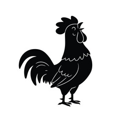 rooster isolated on white background