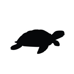 Sea Turtle Silhouette Vector Illustration On White Background Simple Design Graphic