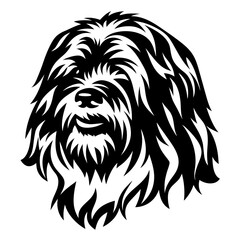 A stylized black and white portrait of a Komondor dog breed