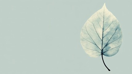 Delicate Leaf Silhouette Illustration on Clean Background  