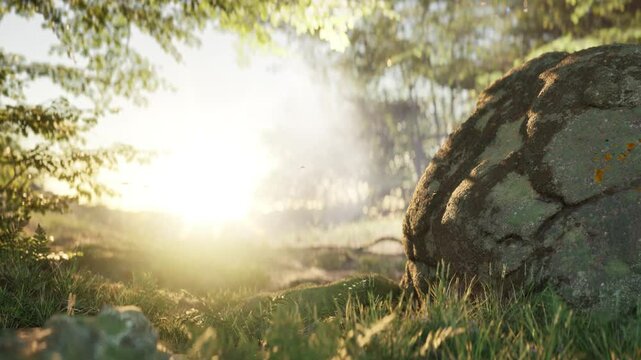 A serene 3D animation of a deciduous forest, featuring towering oak trees with moss-covered trunks. a young woman sits alone on a rock and enjoys unity with nature, a spider web with dew drops in the