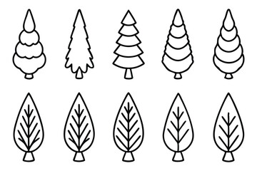 Cedar Texture Vector Pack