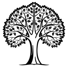 Obraz premium creative details Deciduous Tree icon vector illustration 