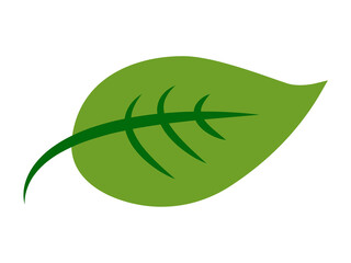 Leaf icon