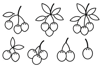 Chokecherry Different Types Collection