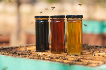 Variety of honey jars on hive with bees flying around