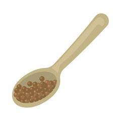 indian spice Coriander Spoon Seed