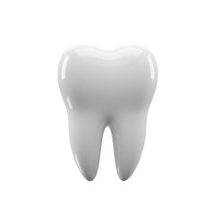 Tooth anatomy 3d render isolated on white background