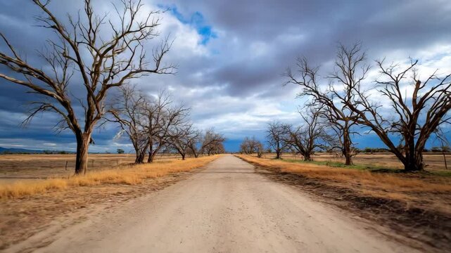 Serene dirt road winds through barren landscape of leafless trees under cloudy sky.