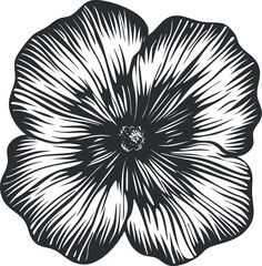 Obraz premium Stylized black and white illustration of a beautiful flower with intricate petal details.