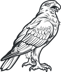 Obraz premium Stylized illustration of a hawk showcasing detailed feathers and strong features.